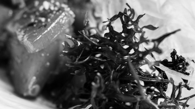 ALGAS, ESE FRUTO DEL MAR QUE ENAMORA EN LA COCINA JAPONESA
