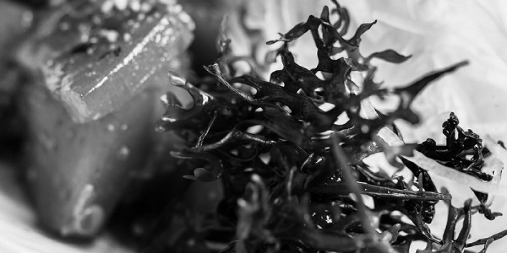 ALGAS, ESE FRUTO DEL MAR QUE ENAMORA EN LA COCINA JAPONESA